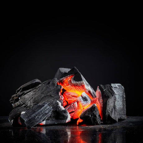 Echt Professional | Houtskool | 10kg  Haardhout.com