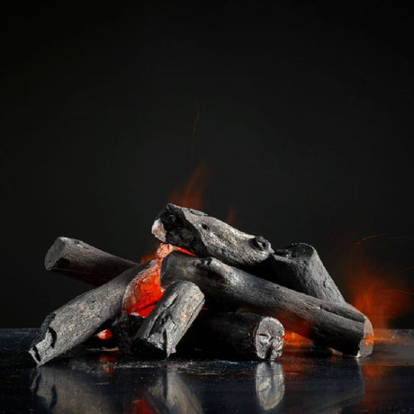 Echt Specialist | Houtskool | 10kg  Haardhout.com