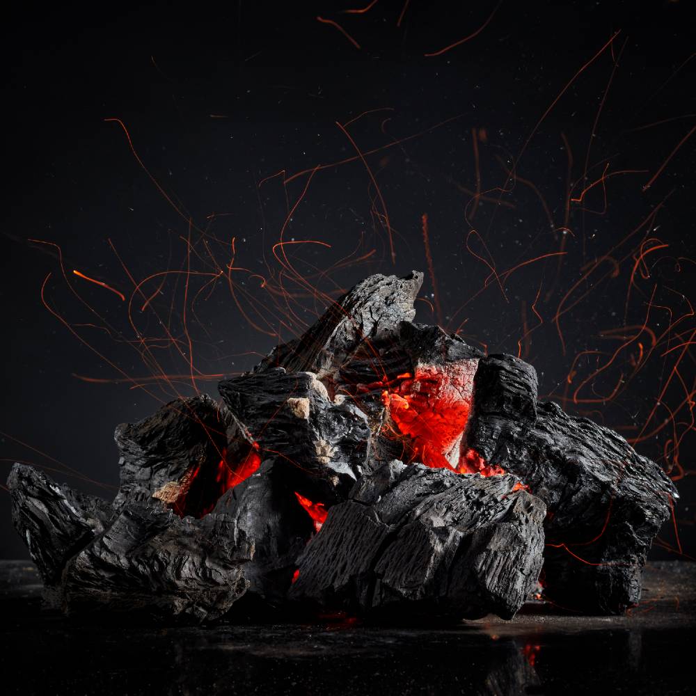 Echt  Expert | Houtskool | 10kg  Haardhout.com